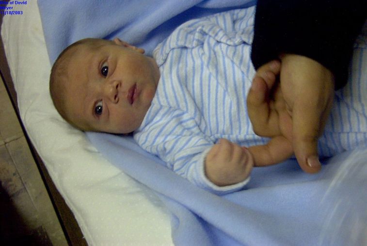 017 - Shuky's Hand.JPG