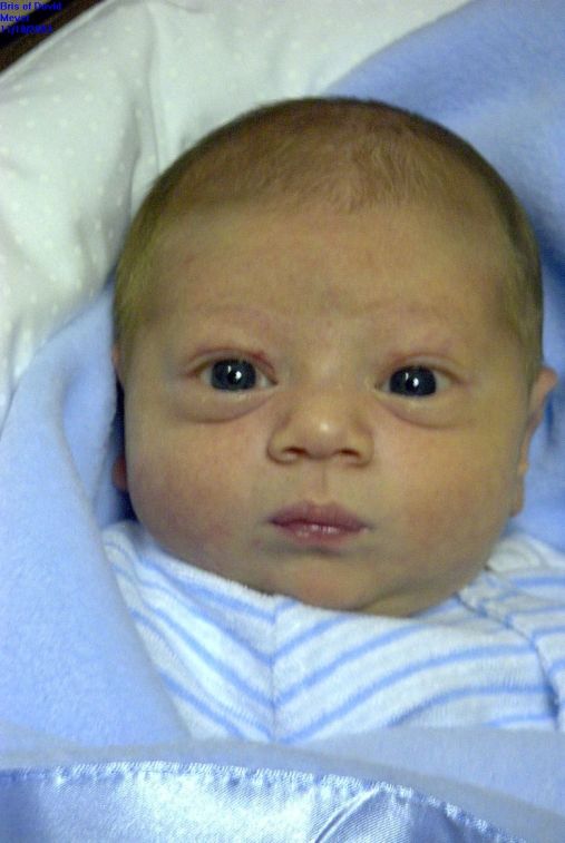 020 - DOVID.JPG